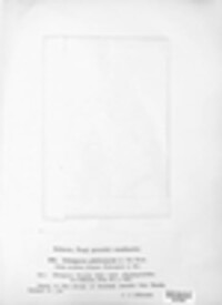 Melampsora populnea image